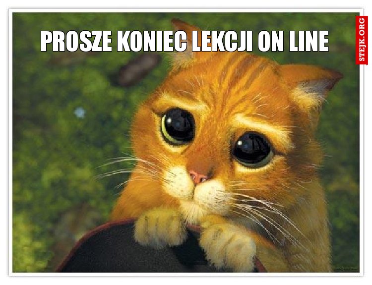 prosze koniec lekcji on line