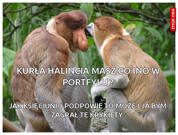 Mamy obietnice 