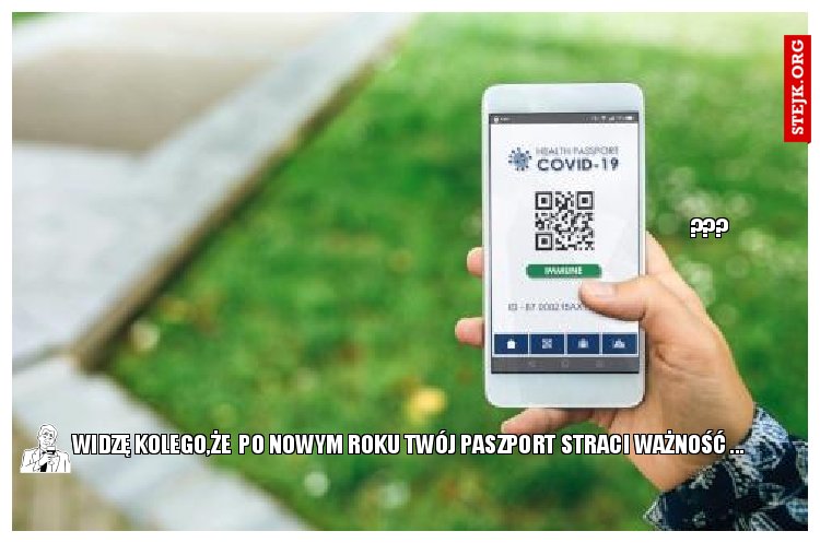 WIDZĘ KOLEGO,ŻE  PO NOWYM ROKU TWÓJ PASZPORT STRACI WAŻNOŚĆ ...