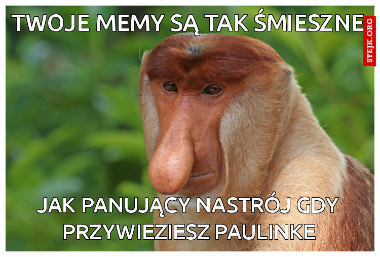 twoje memy są tak śmieszne