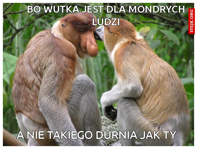 bo wutka jest dla mondrych  ludzi 