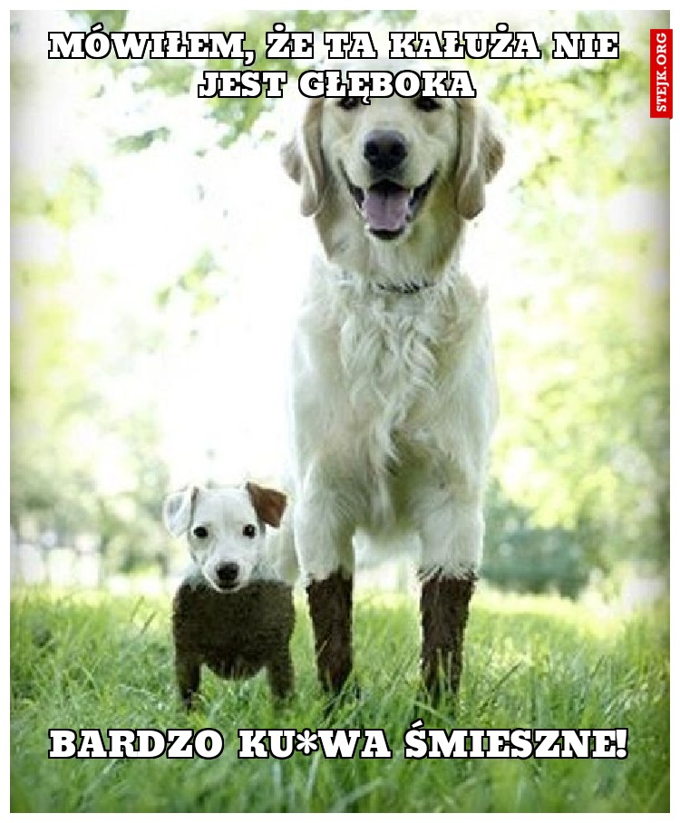 Mówiłem, że ta kałuża nie jest głęboka