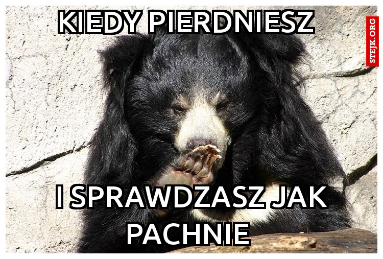Kiedy pierdniesz 