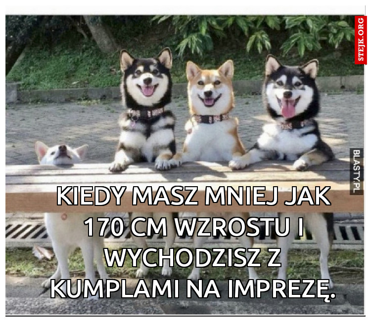 Kiedy masz mniej jak 170 cm wzrostu i wychodzisz z kumplami na imprezę.