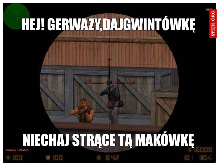 Hej! Gerwazy,dajgwintówkę