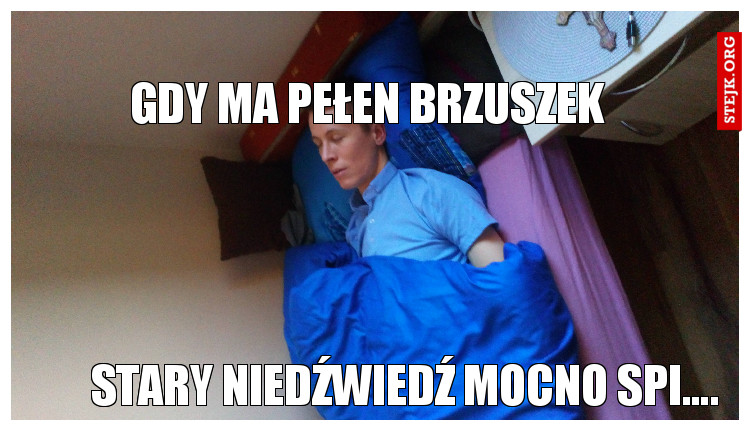 Stary niedźwiedź mocno spi...