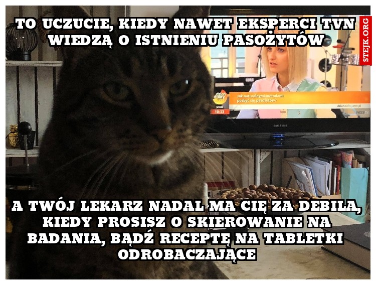 To uczucie, kiedy nawet eksperci tvn wiedzą o istnieniu pasożytów