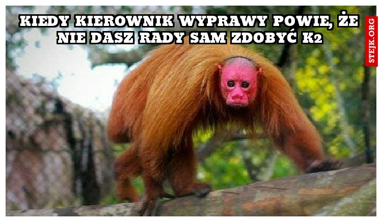 Kiedy kierownik wyprawy powie, że nie dasz rady sam zdobyć k2