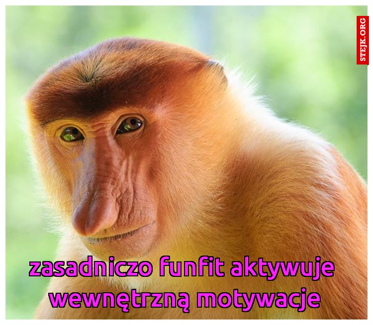 zasadniczo funfit aktywuje  wewnętrzną motywacje