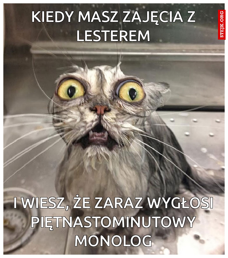 kIEDY MASZ ZAJĘCIA Z LESTEREM