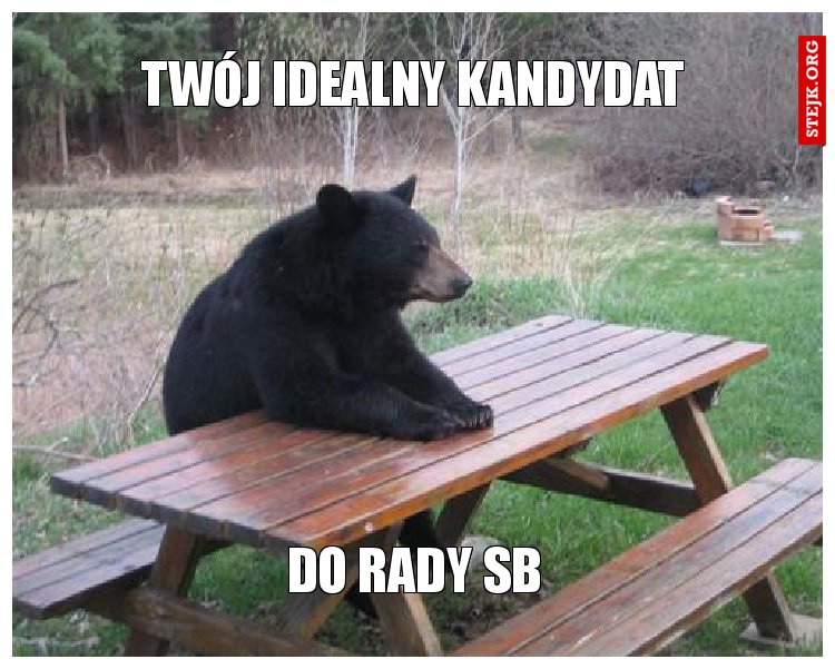 Twój idealny kandydat