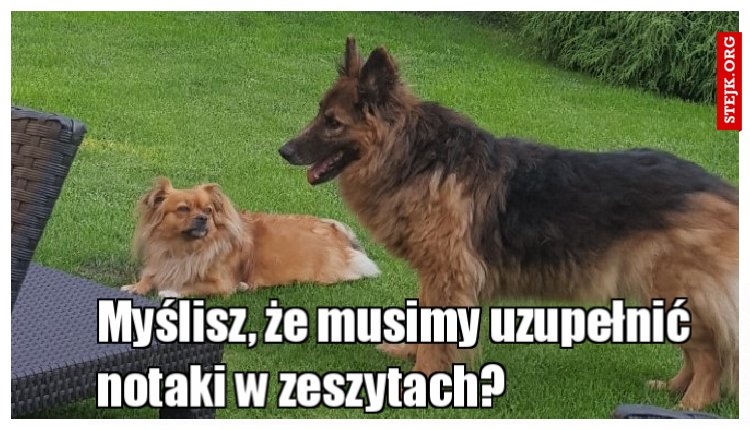 Podobno wracamy do szkoły...