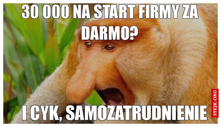 30 000 na start firmy za darmo?