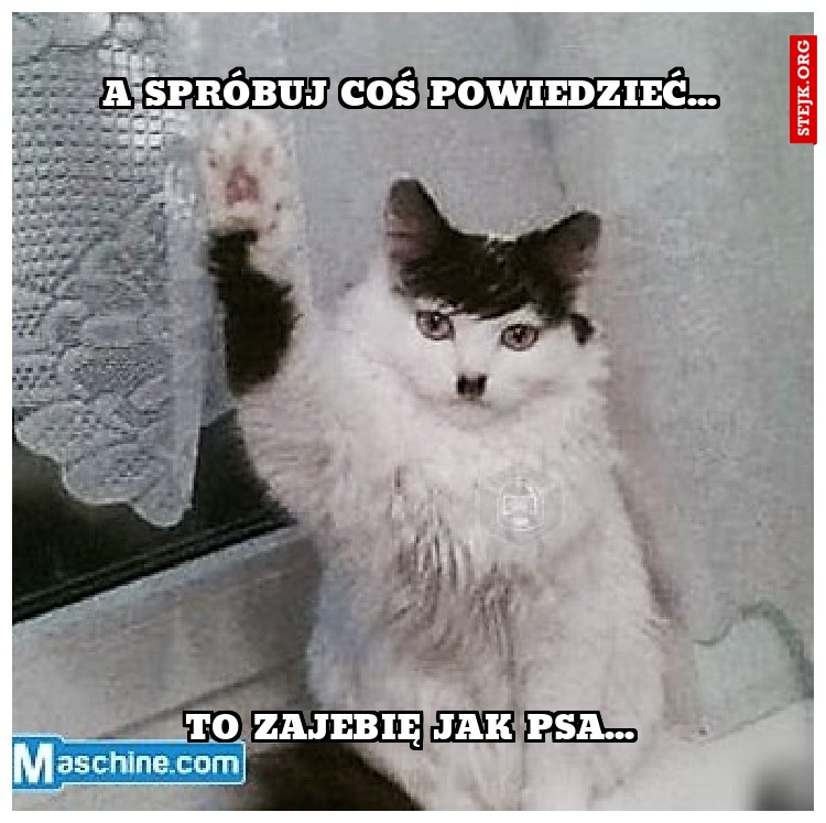 A SPRÓBUJ COŚ POWIEDZIEĆ...