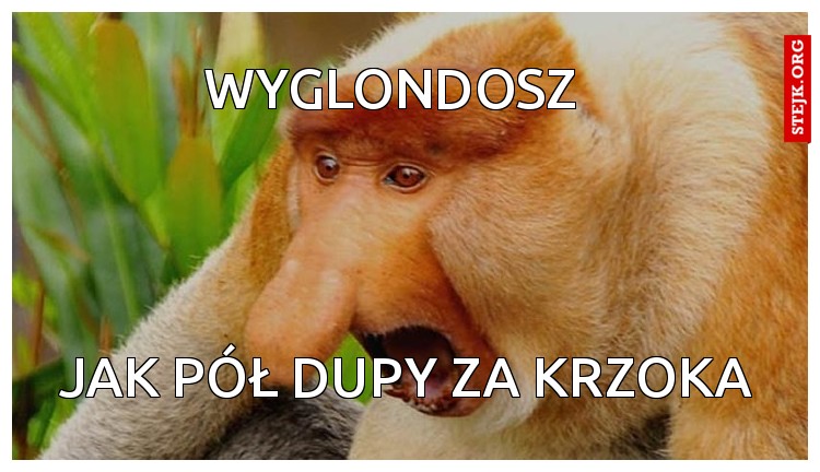 Wyglondosz