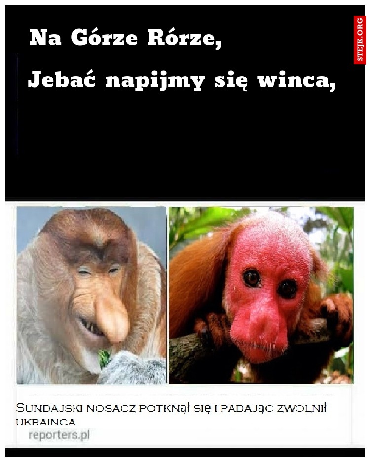 Na Górze Rórze,