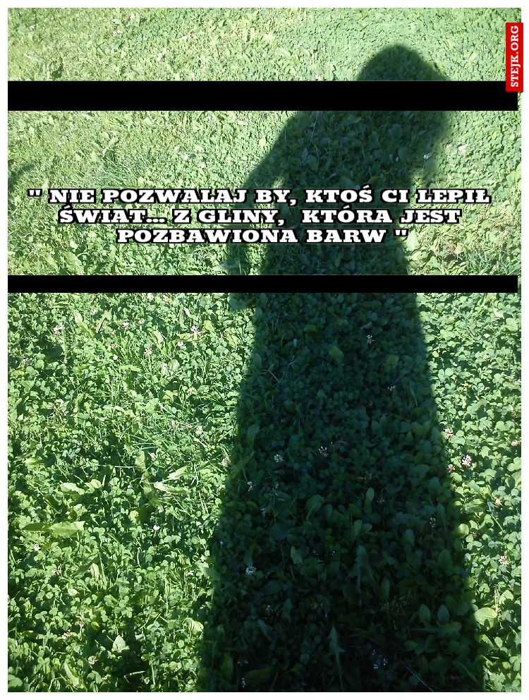 " Nie pozwalaj by, ktoś Ci lepił świat... z gliny,  która jest pozbawiona barw "