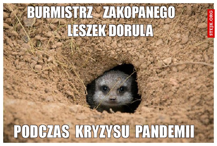 burmistrz    zakopanego        leszek dorula