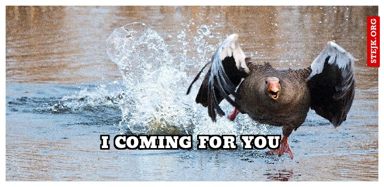 i coming for you