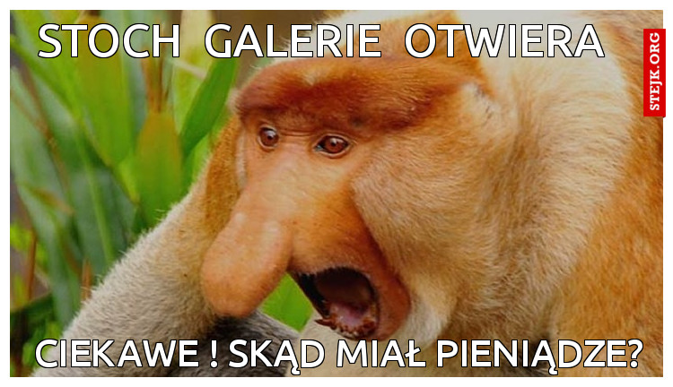 stoch  galerie  otwiera