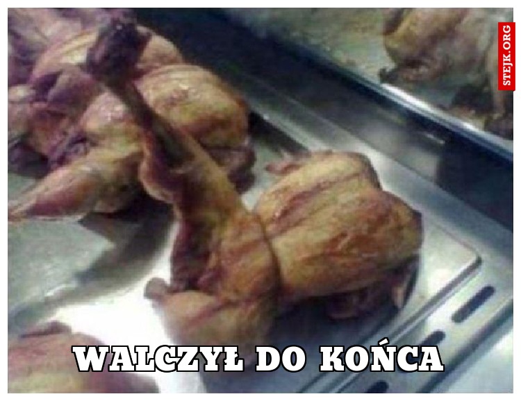 Walczył do końca