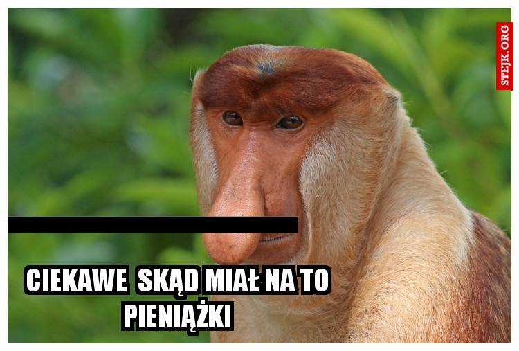 ciekawe skąd wziął
