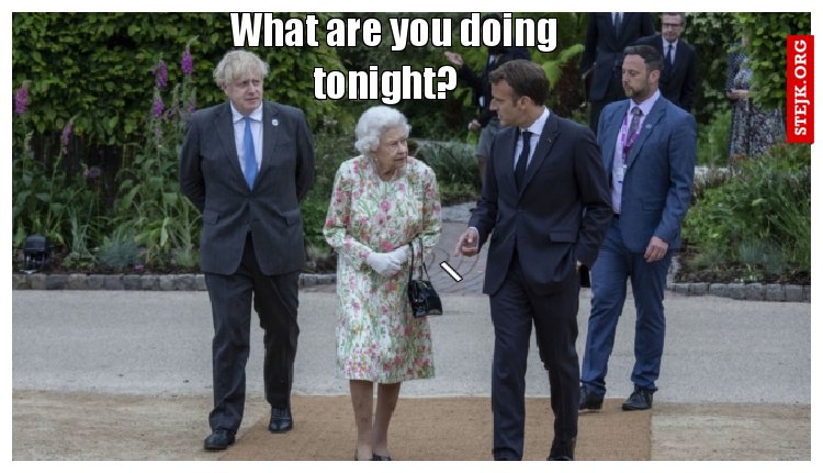 What are you doing tonight?  