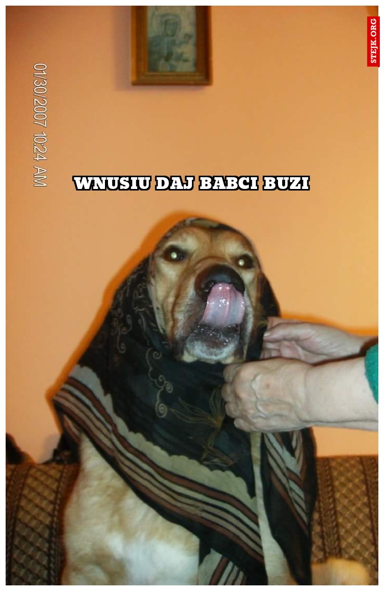 WNUSIU DAJ BABCI BUZI