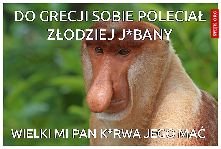 Do Grecji sobie poleciał złodziej j*bany