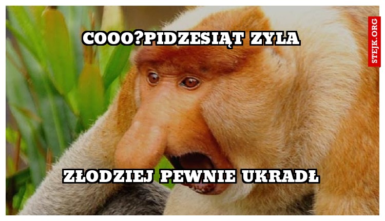 cooo?pidzesiat zyla 
