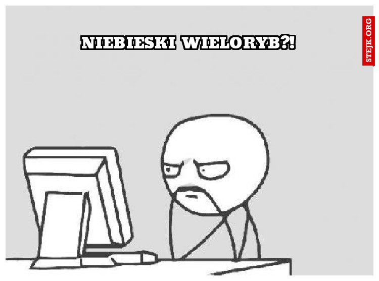 Niebieski wieloryb?!