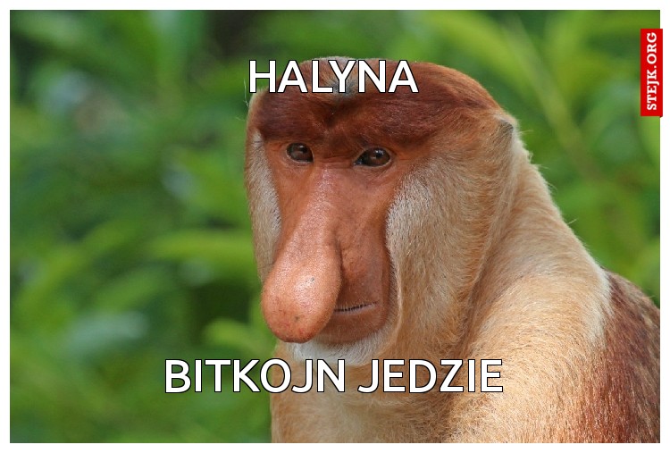 HALYNA