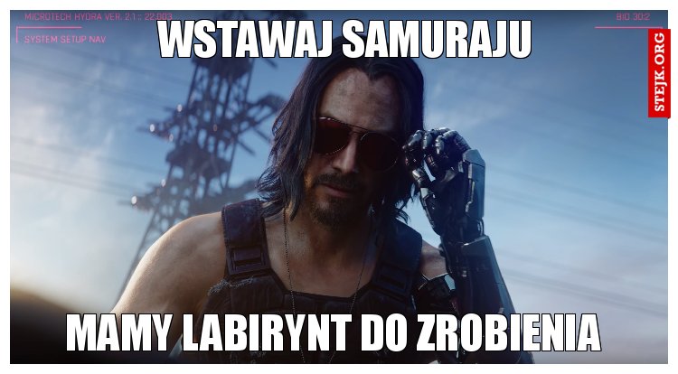 WSTAWAJ SAMURAJU