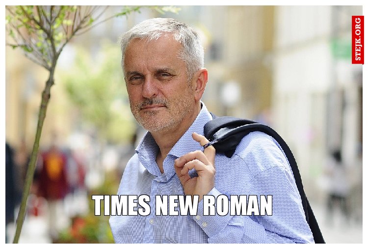 Times New Roman