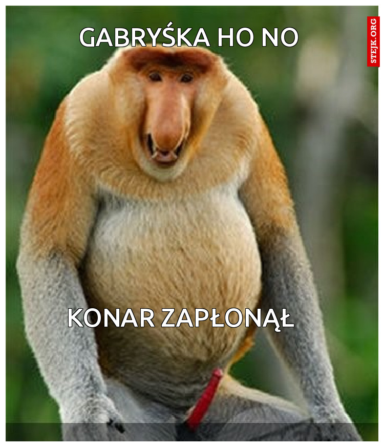Gabryśka ho no 