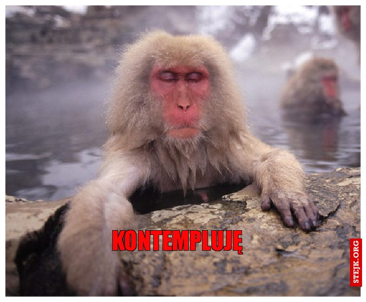 Kontempluję