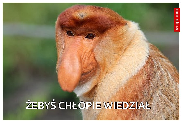 Żebyś chłopie wiedział 