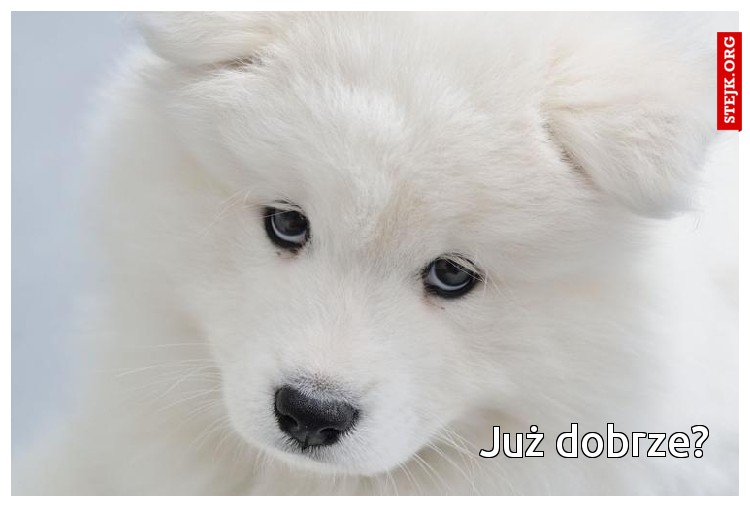 Już dobrze?