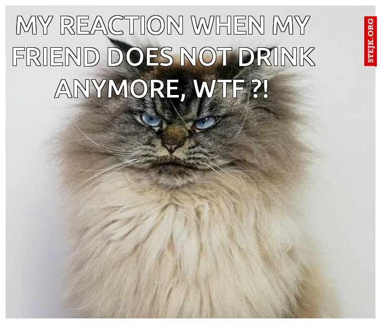 my reaction when my friend does not drink anymore, wtf ?!