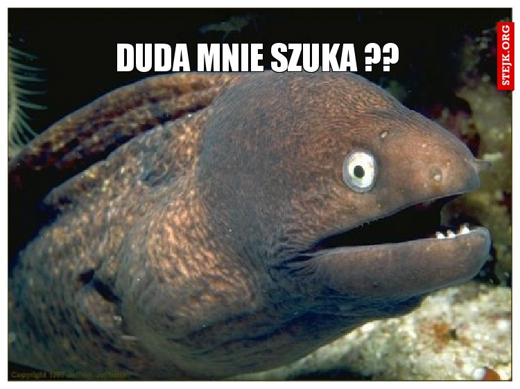 Duda mnie szuka ??