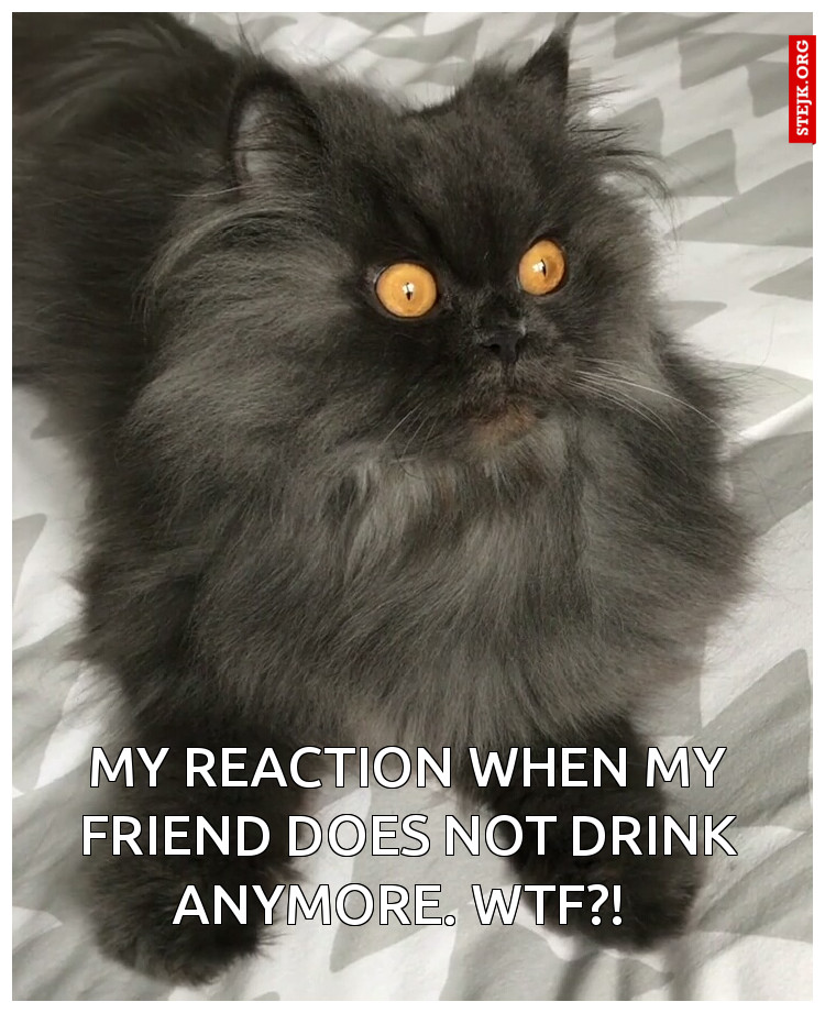 my reaction when my friend does not drink anymore. Wtf?! 