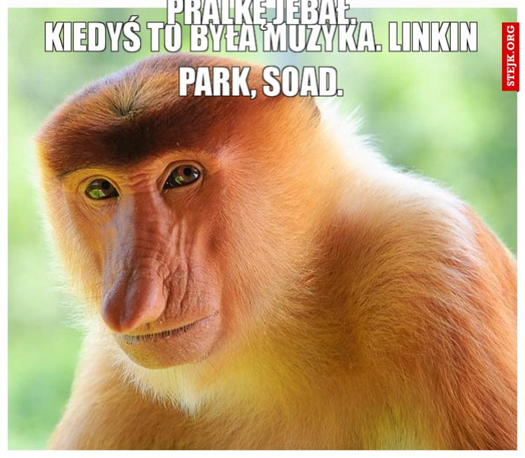 Kiedyś to była muzyka. LInkin Park, SOAD.