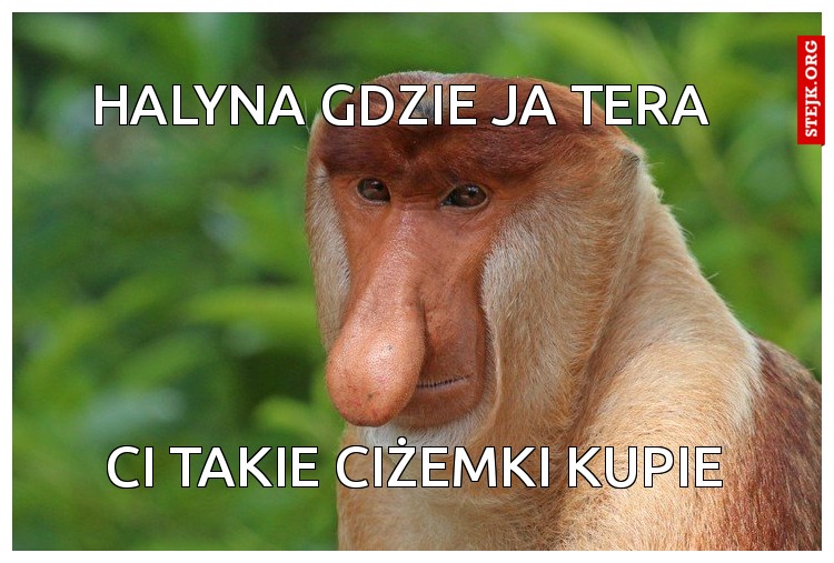 halyna gdzie ja tera