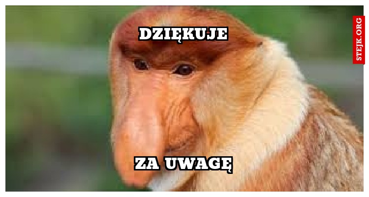 dziękuje