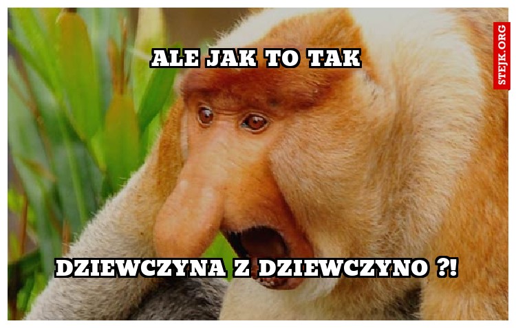 wdd