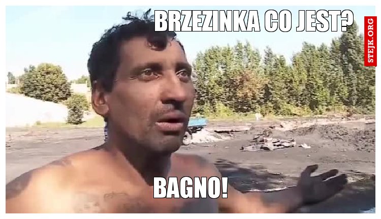 Brzezinka co jest?
