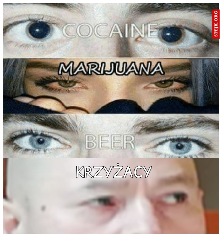 KRZYŻACY