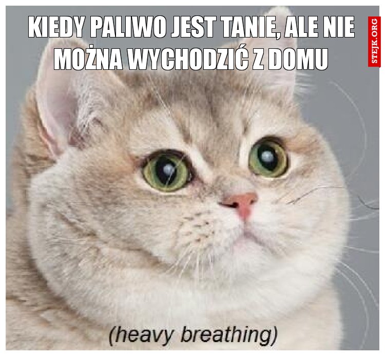 kiedy paliwo jest tanie, ale nie można wychodzić z domu