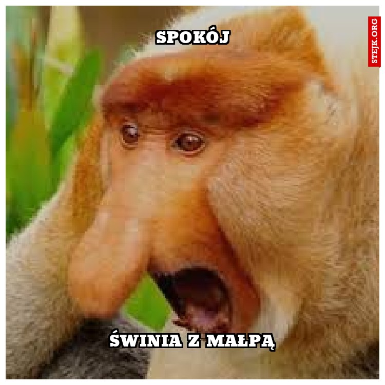 spokój 
