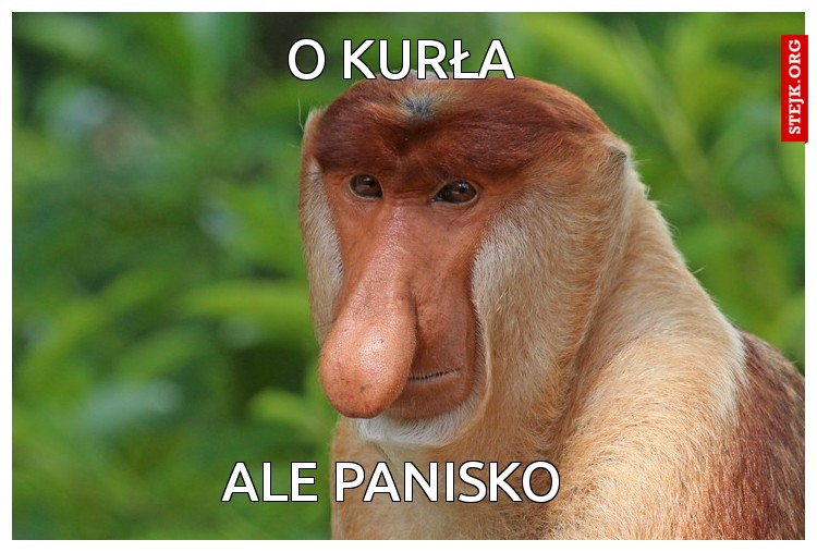 o kurła 